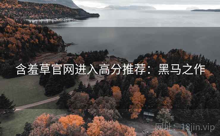 含羞草官网进入高分推荐：黑马之作