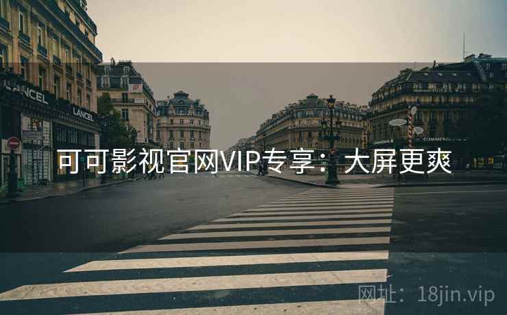 可可影视官网VIP专享：大屏更爽
