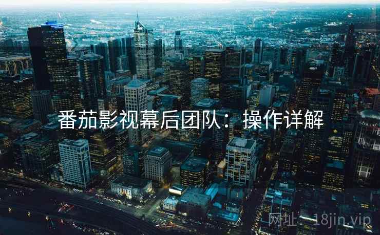 番茄影视幕后团队：操作详解