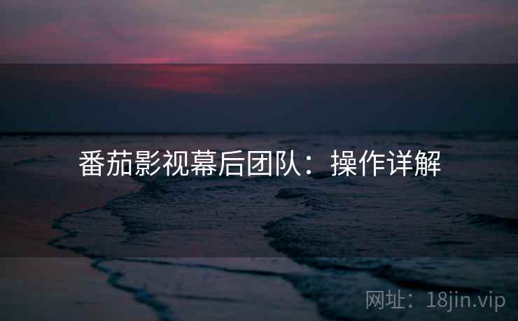 番茄影视幕后团队：操作详解