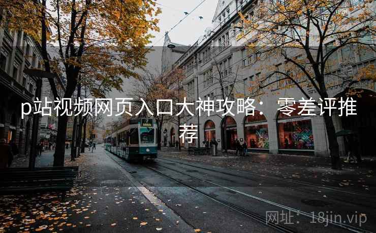 p站视频网页入口大神攻略：零差评推荐