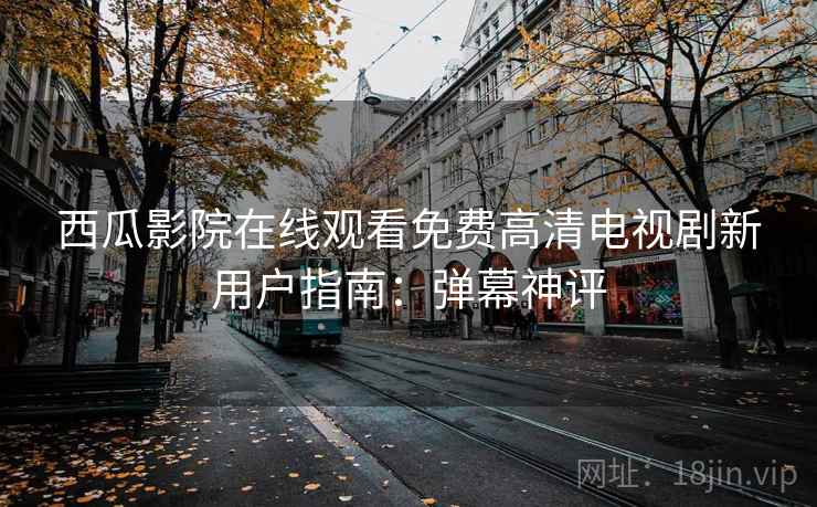 西瓜影院在线观看免费高清电视剧新用户指南：弹幕神评